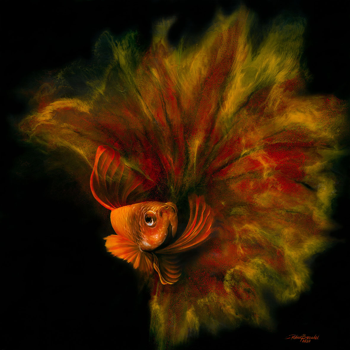 Betta Fish Red - Original Resin 100cm x 100cm