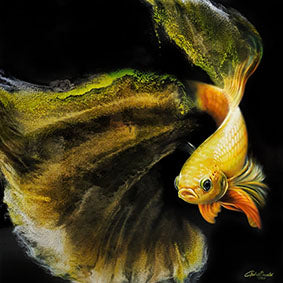 Yellow Betta Fish - Original Resin 100cm x 100cm