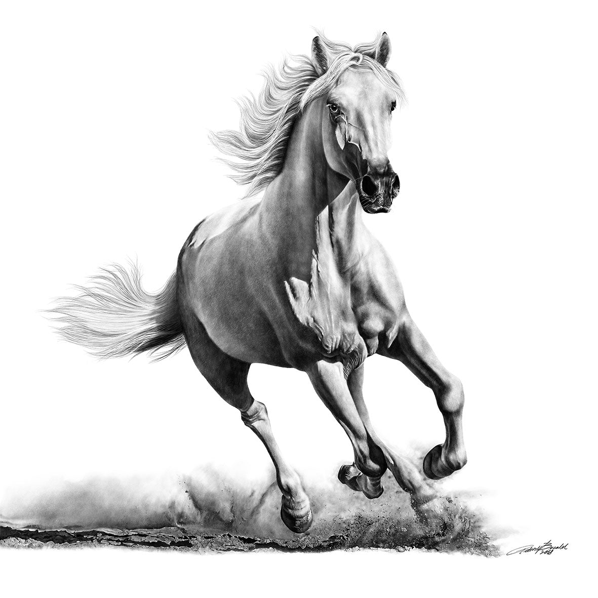 Faithful and True- White Horse Giant Format - DIASEC Print 140cm x 140cm