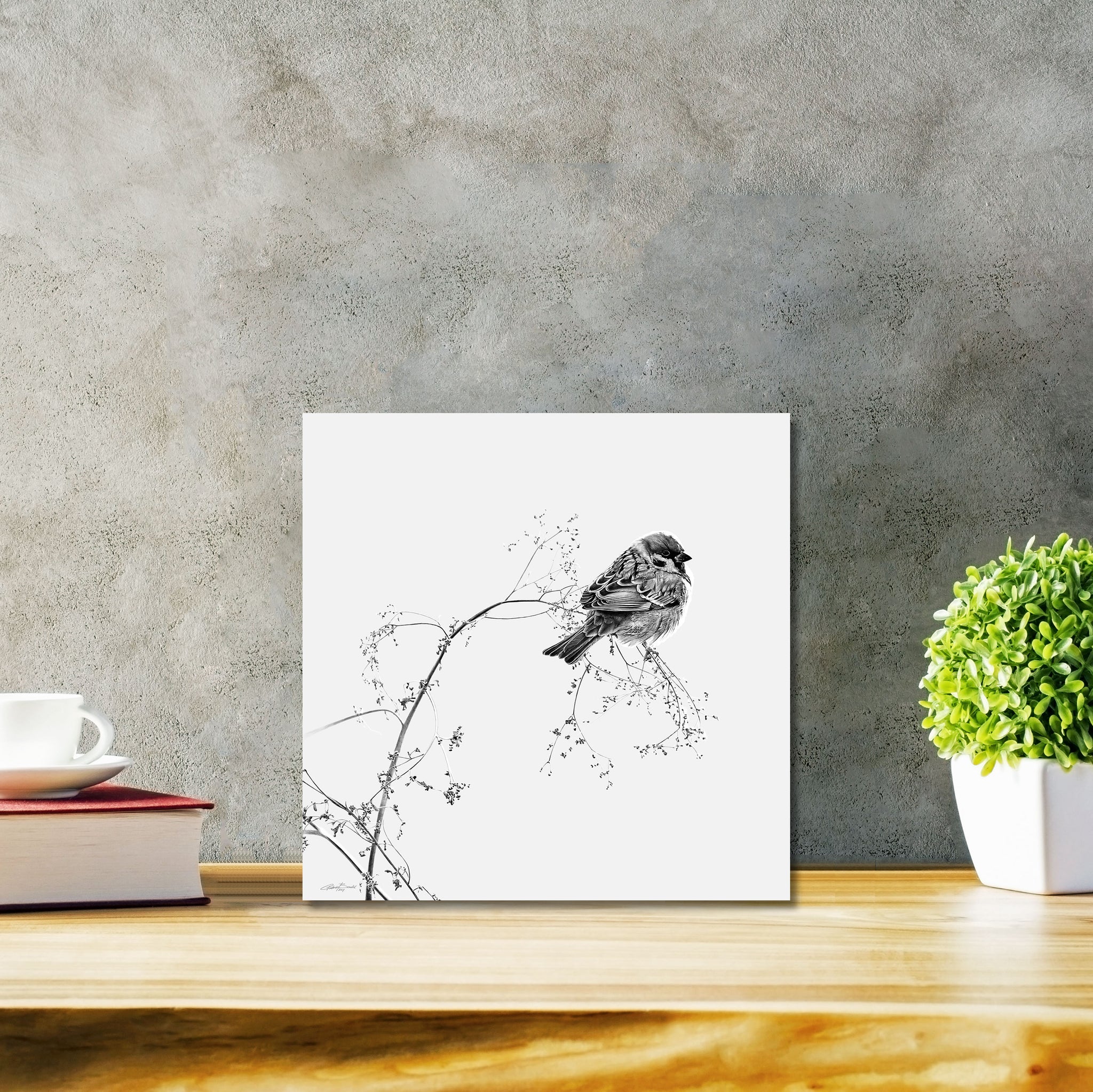 Do Not Worry About Tomorrow Classic - DIASEC Print 30cm x 30cm