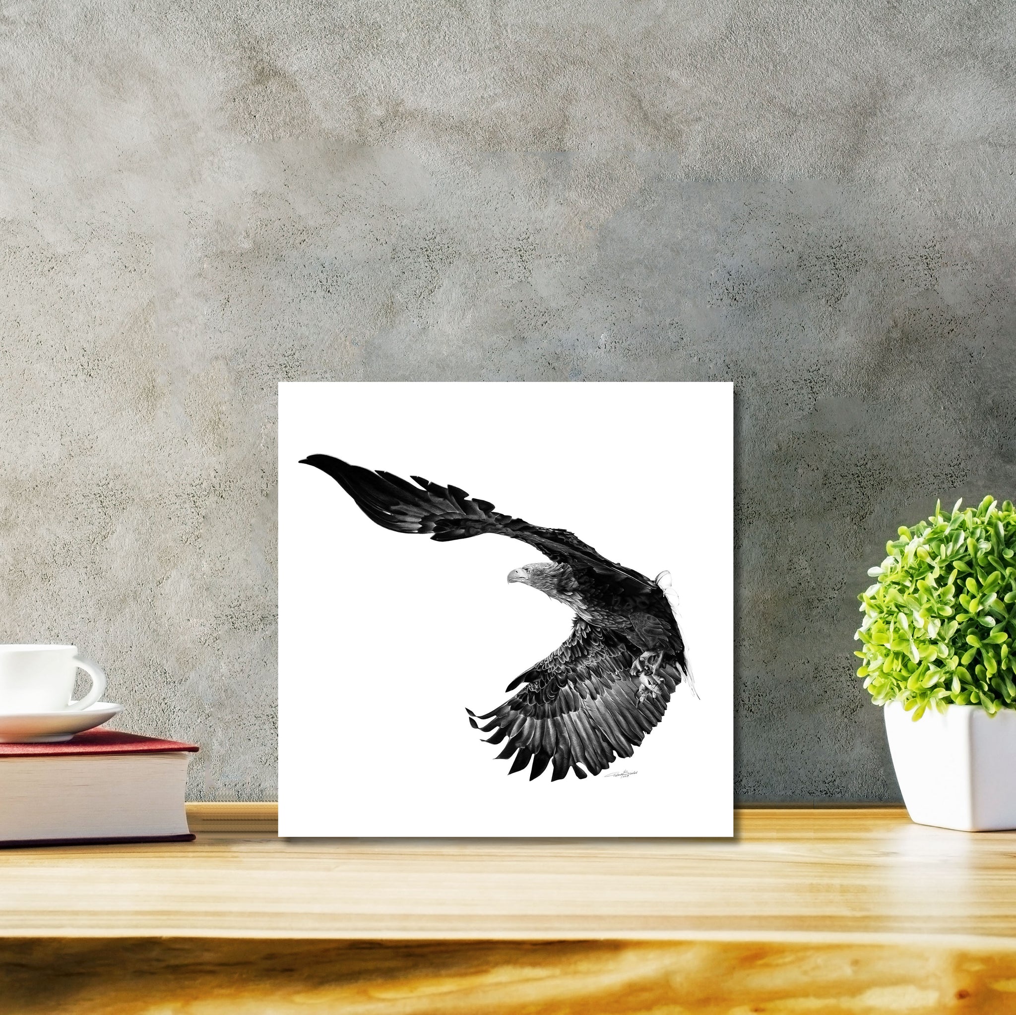 The Overcomer Classic - DIASEC Print 30cm x 30cm