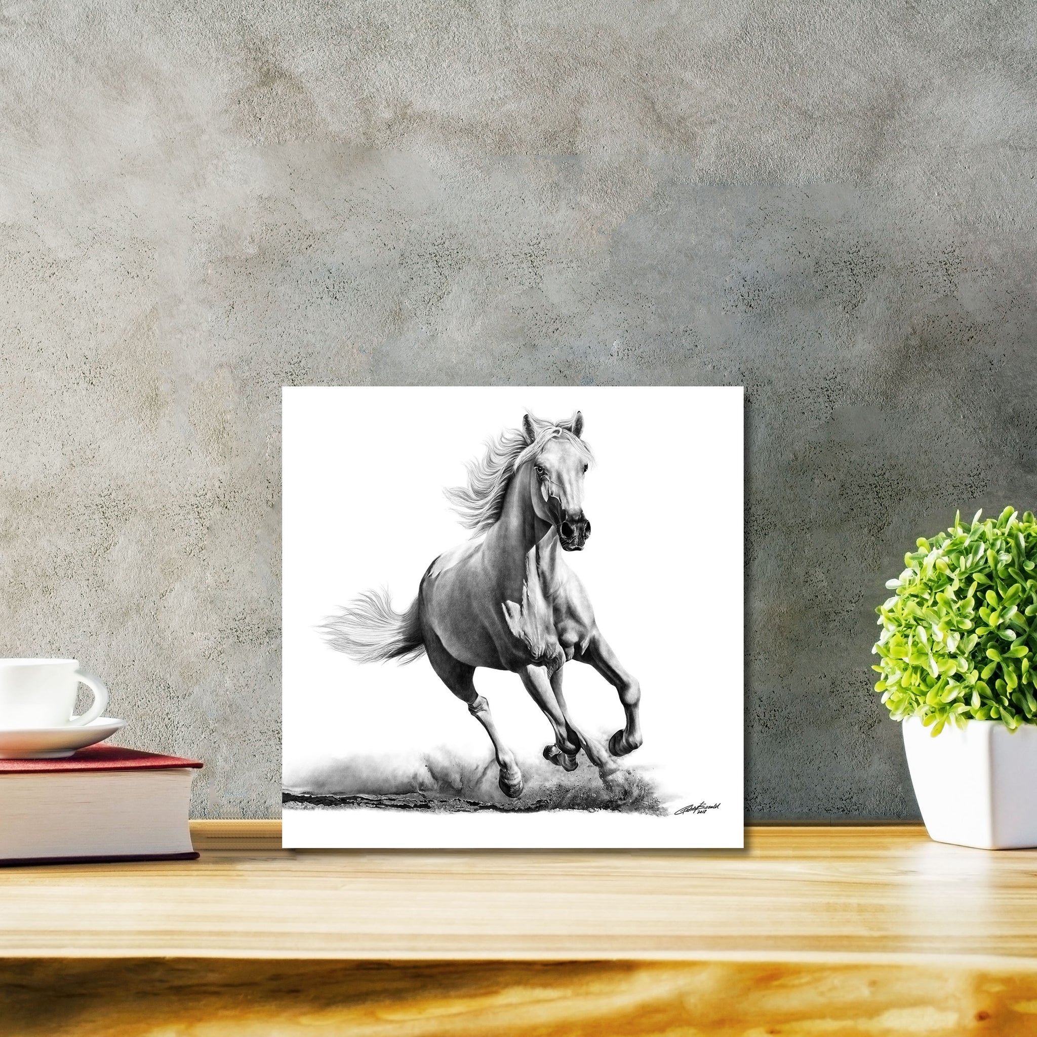 Faithful and True- White Horse Classic - DIASEC Print 30cm x 30cm