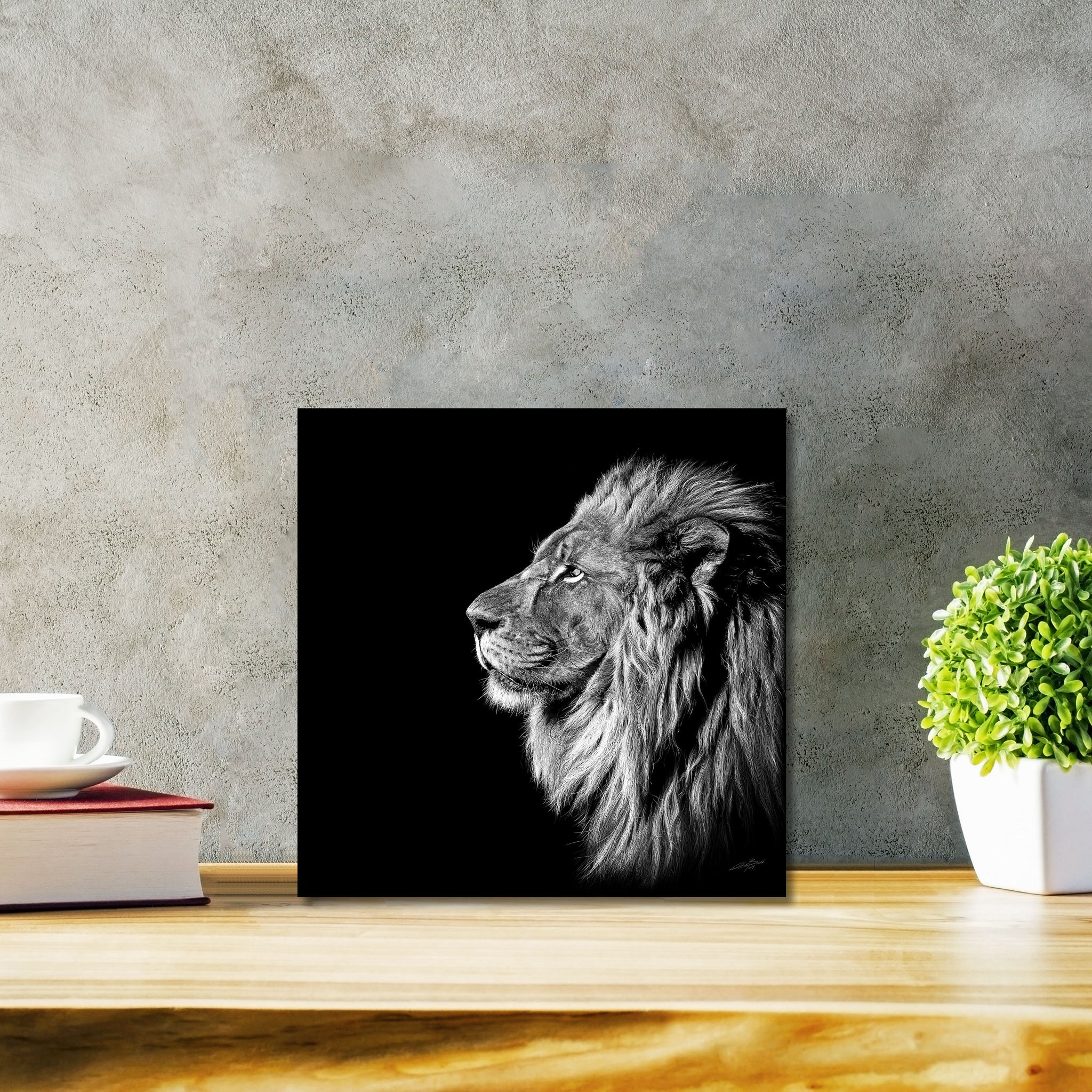 King Of Kings Classic - DIASEC Print 30cm x 30cm