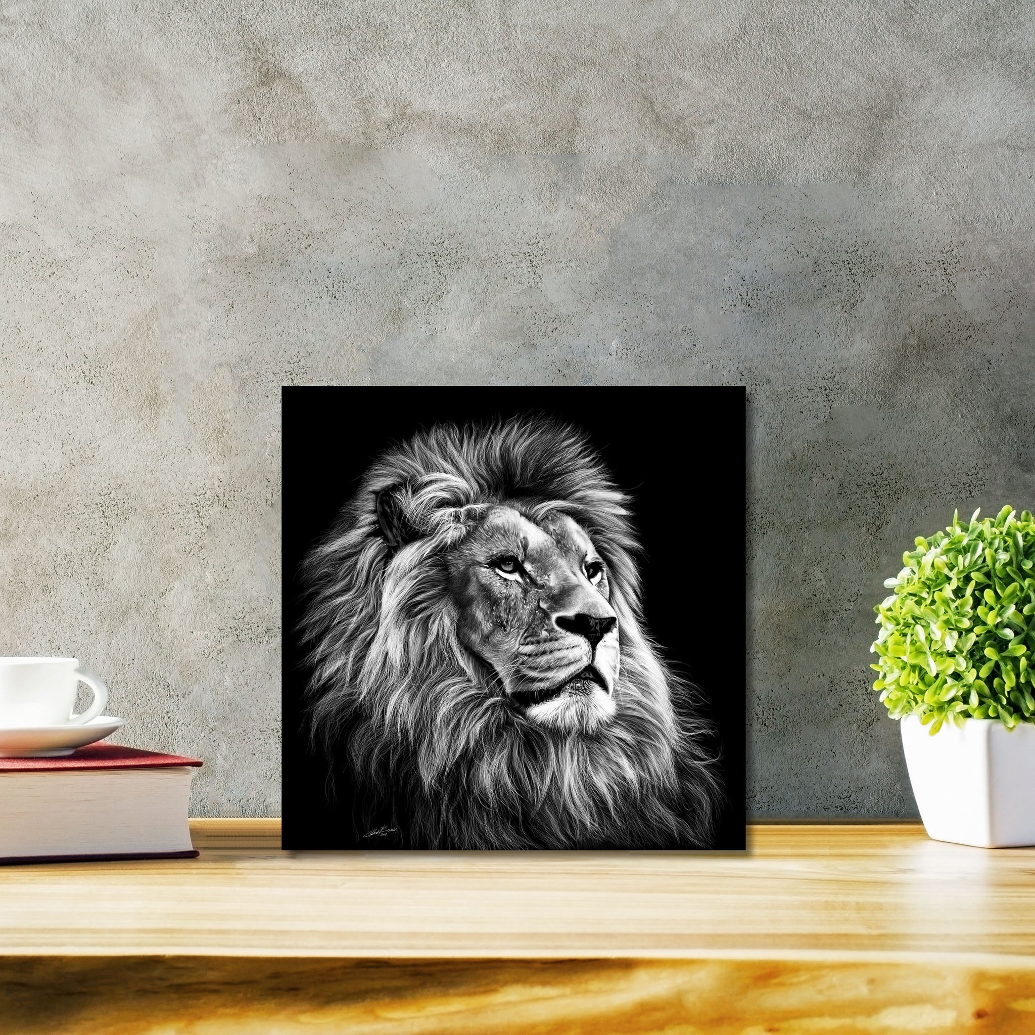 Majesty Classic - DIASEC Print 30cm x 30cm