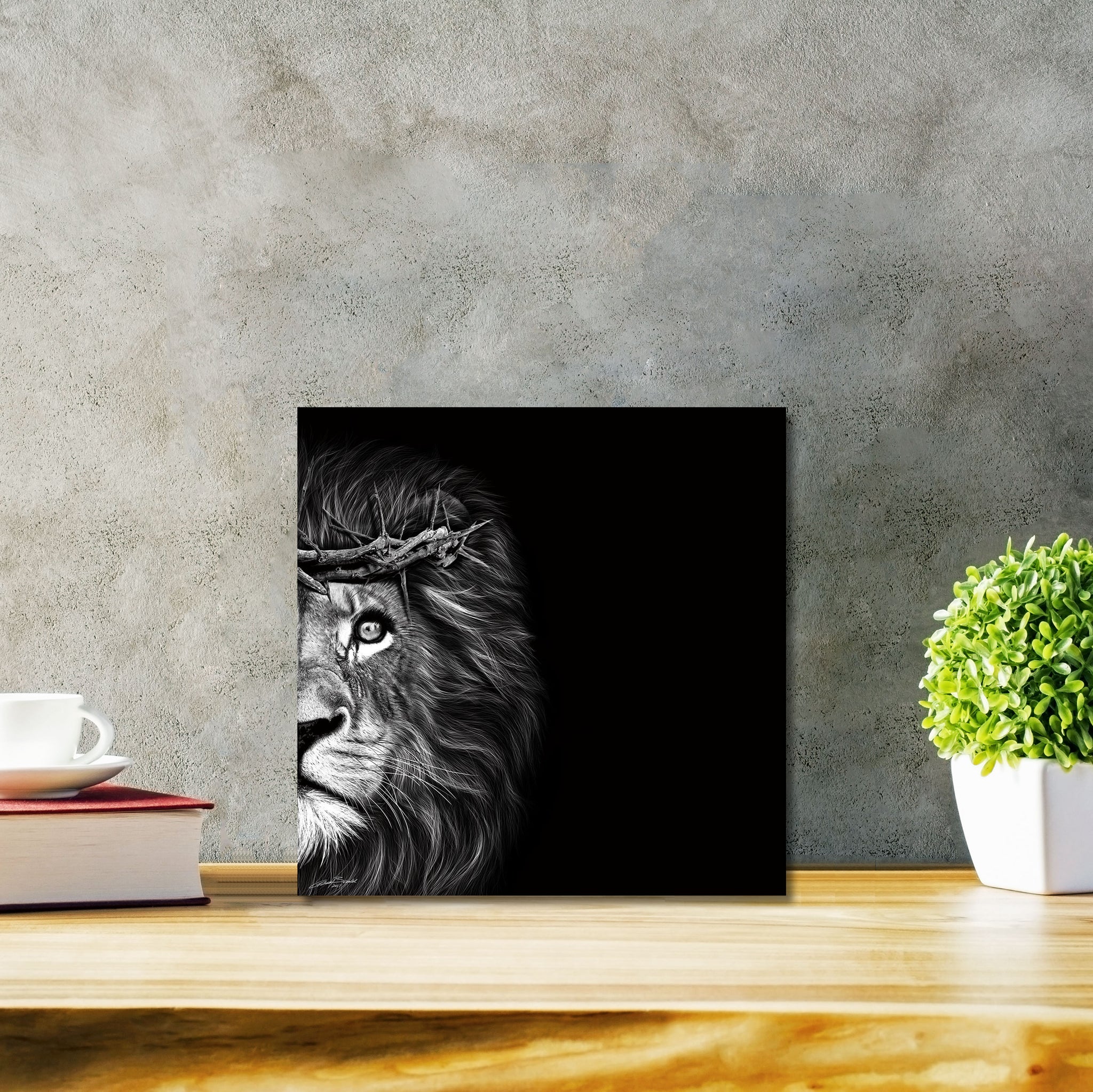 Crown Of Thorns - Lion Classic - DIASEC Print 30cm x 30cm