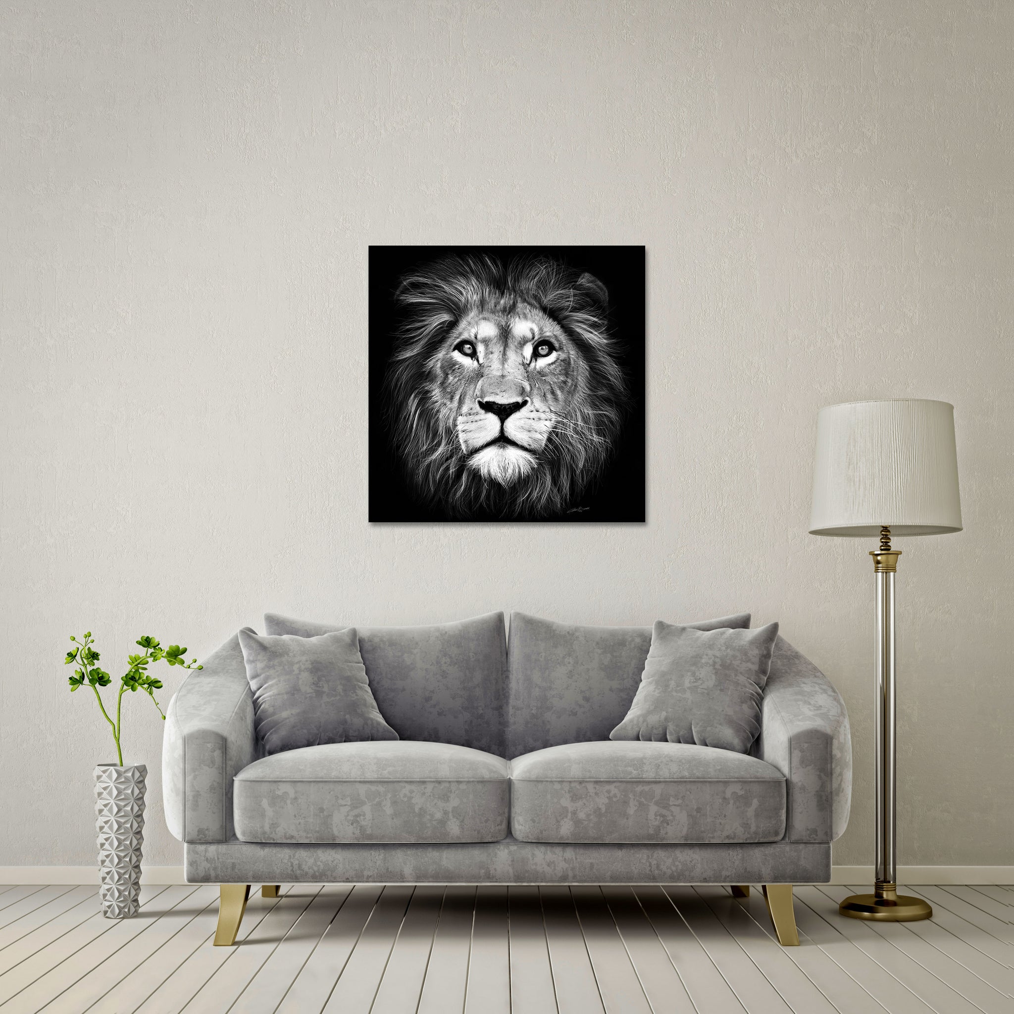 Lion of Judah Large Format - DIASEC Print 80cm x 80cm