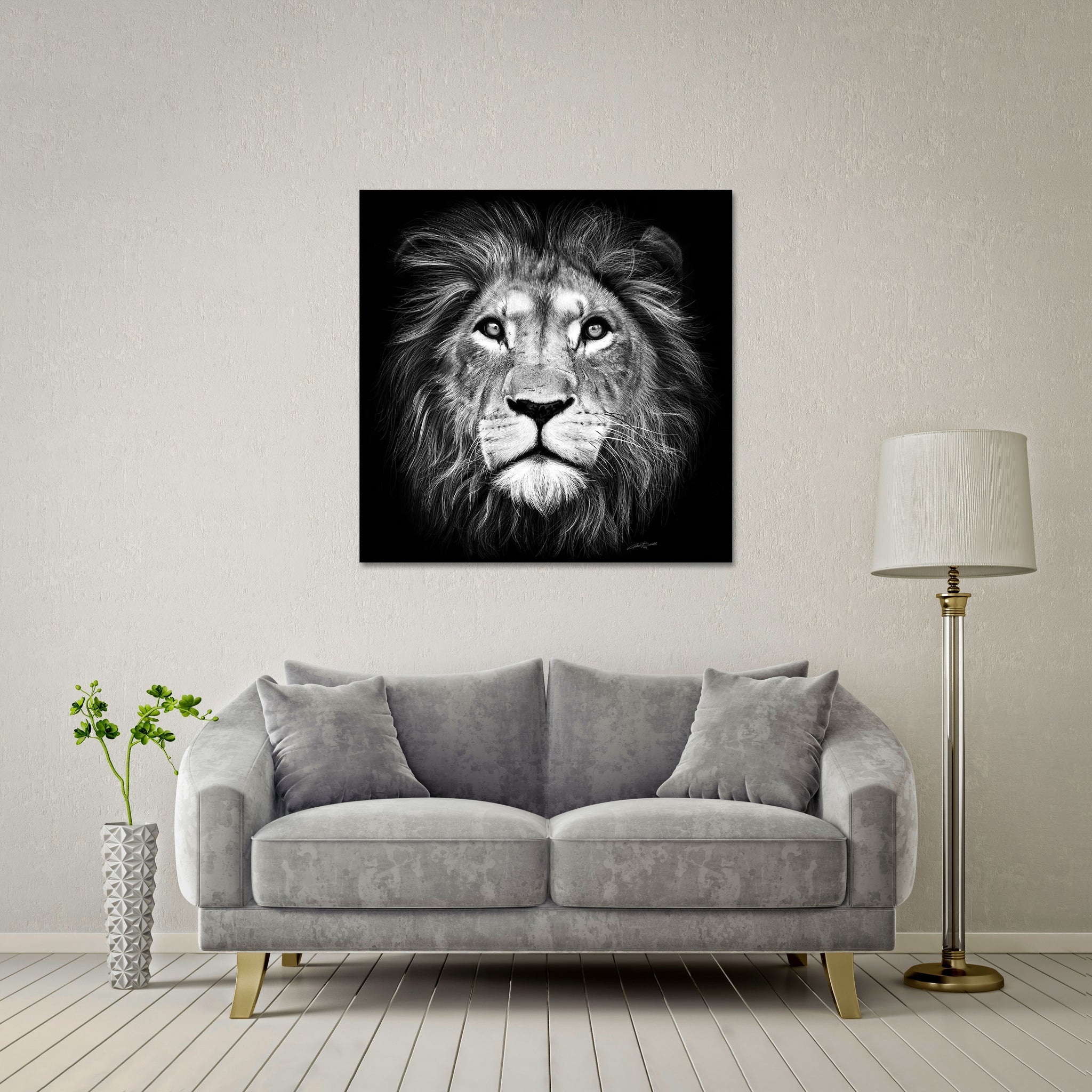 Lion of Judah Giant Format - DIASEC Print 100cm x 100cm
