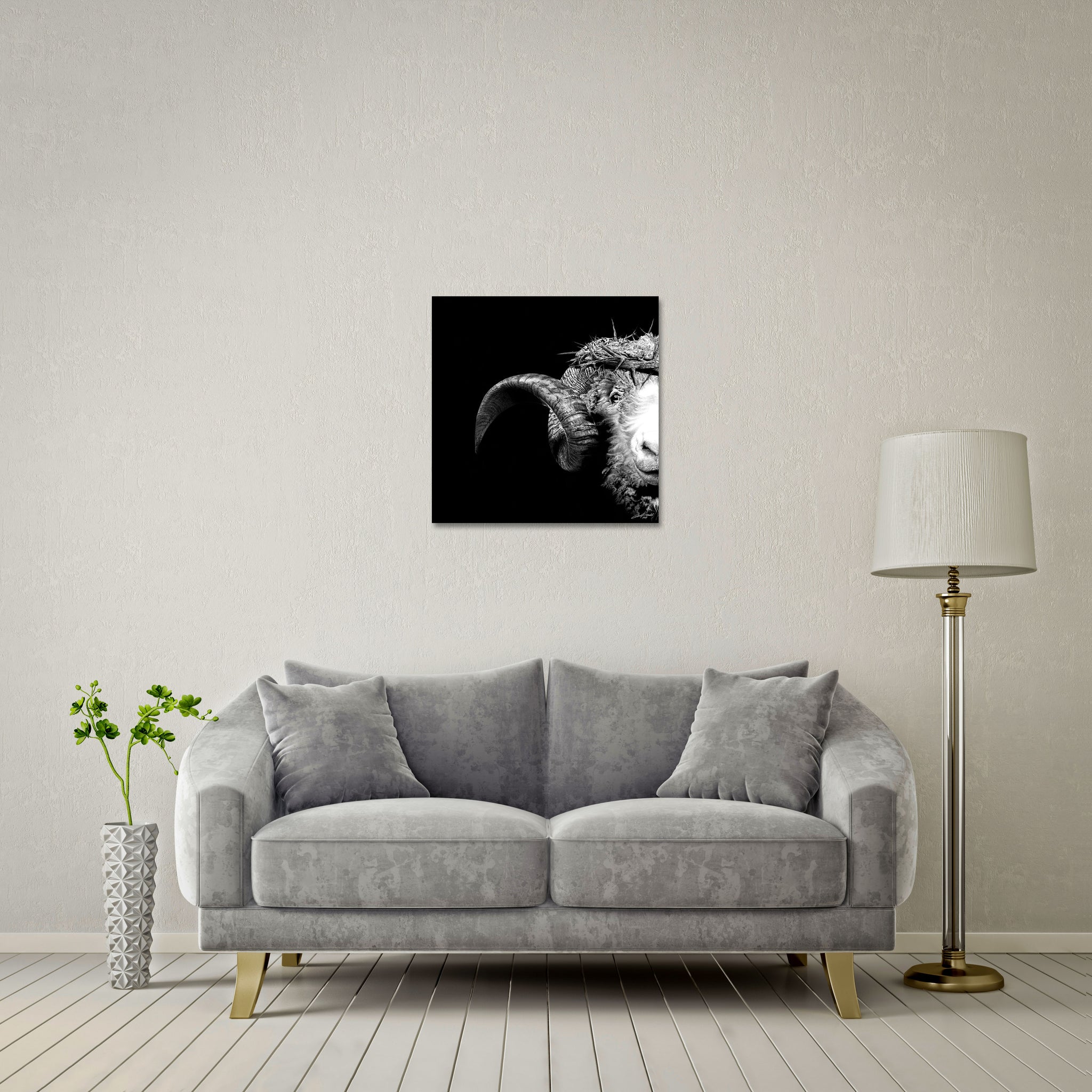 Crown Of Thorns - Ram Standard - DIASEC Print 60cm x 60cm