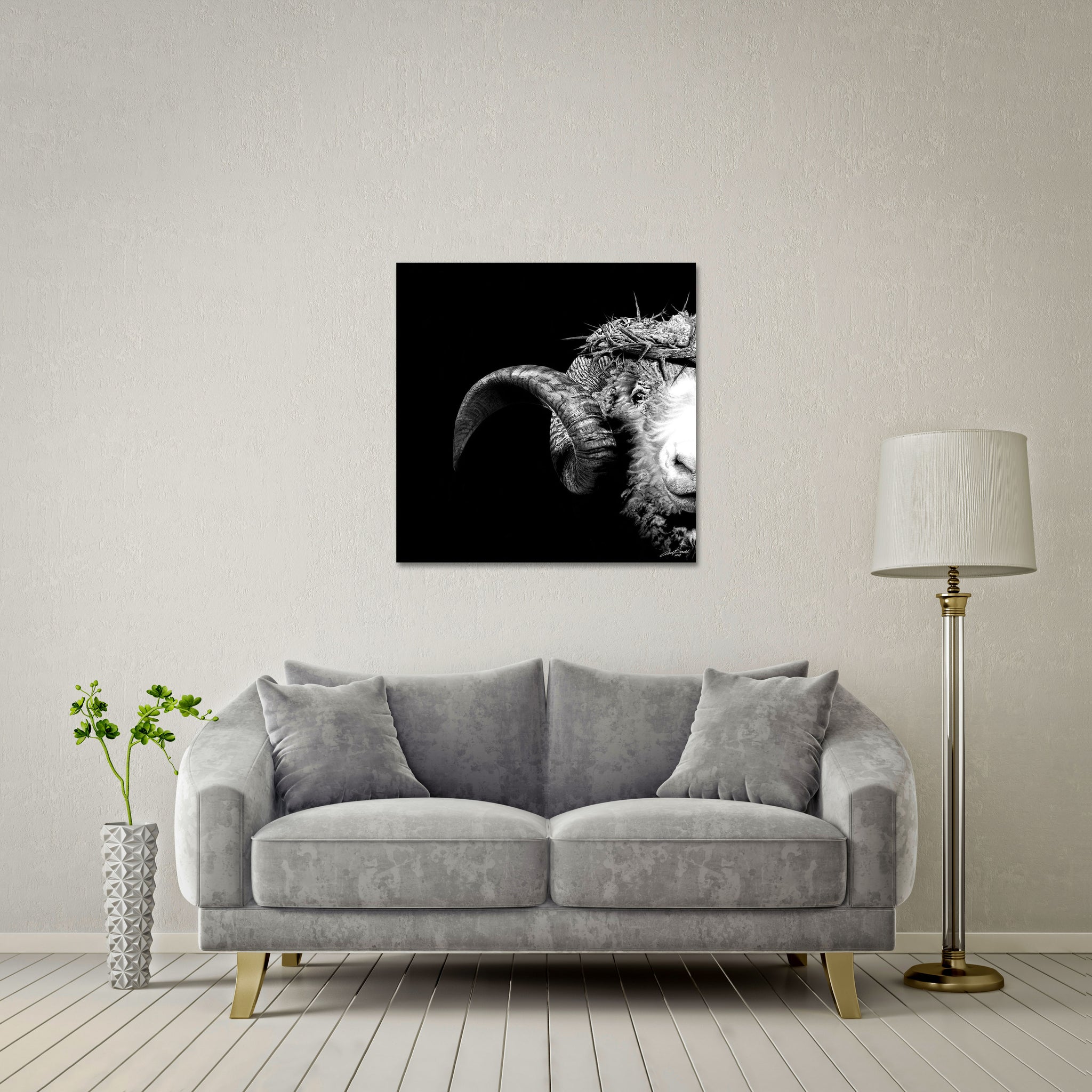 Crown Of Thorns - Ram Large Format - DIASEC Print 80cm x 80cm
