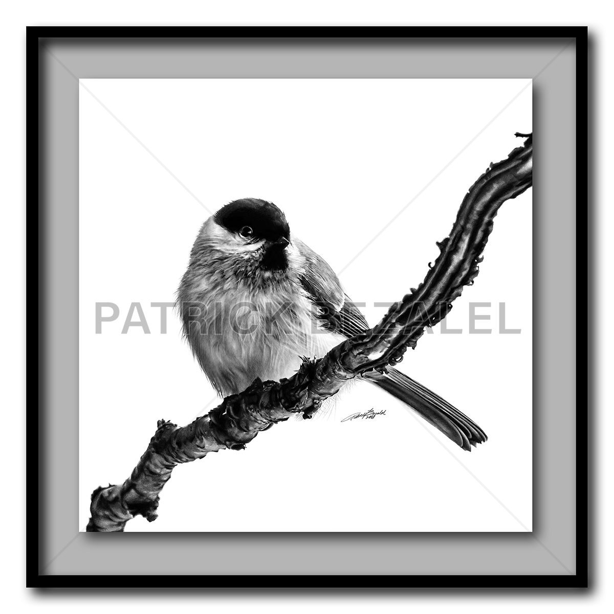 Birds Of The Air Large Format - Artist Print with Frame (Print Size:80cm x 80cm; Framed Size 94cm x 94cm)