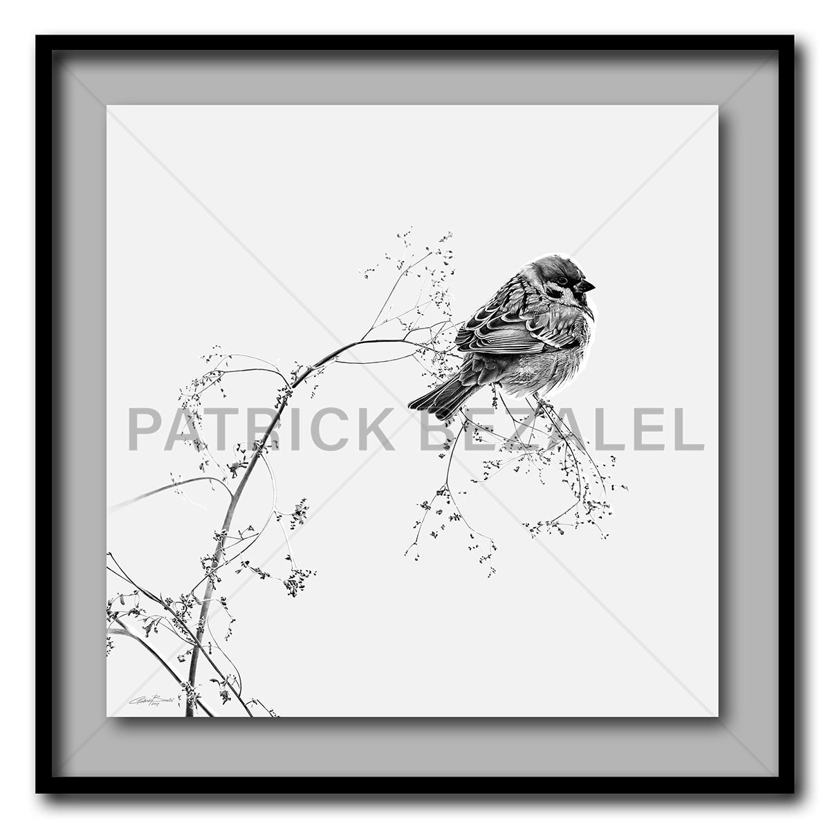 Do Not Worry About Tomorrow Giant Format - Artist Print with Frame (Print Size:100cm x 100cm; Framed Size 114cm x 114cm)