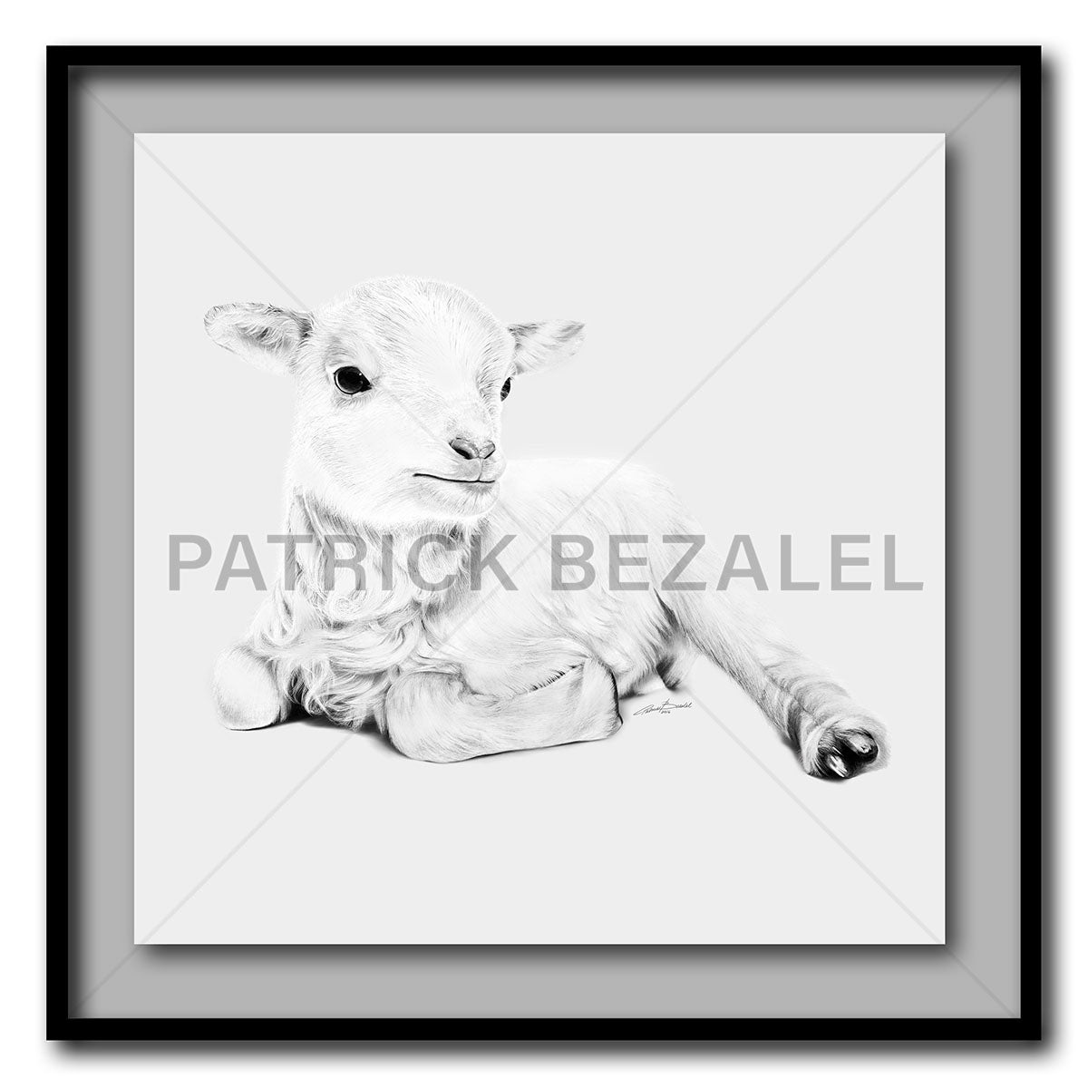 Lamb At Rest Large Format - Artist Print with Frame (Print Size:80cm x 80cm; Framed Size 94cm x 94cm)
