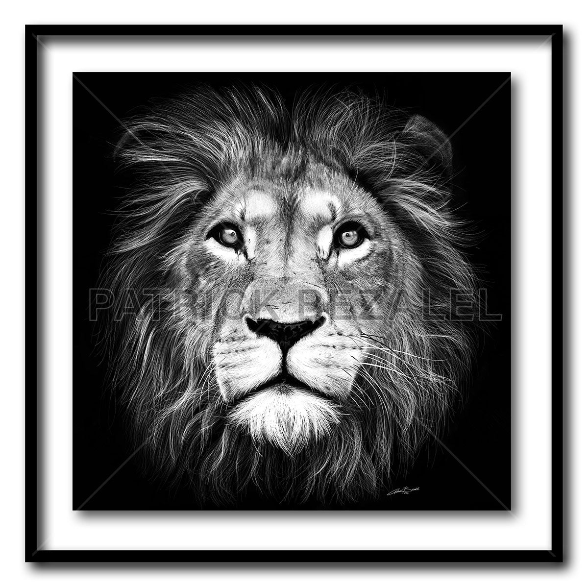 Lion of Judah Large Format - Artist Print with Frame (Print Size:80cm x 80cm; Framed Size 94cm x 94cm)
