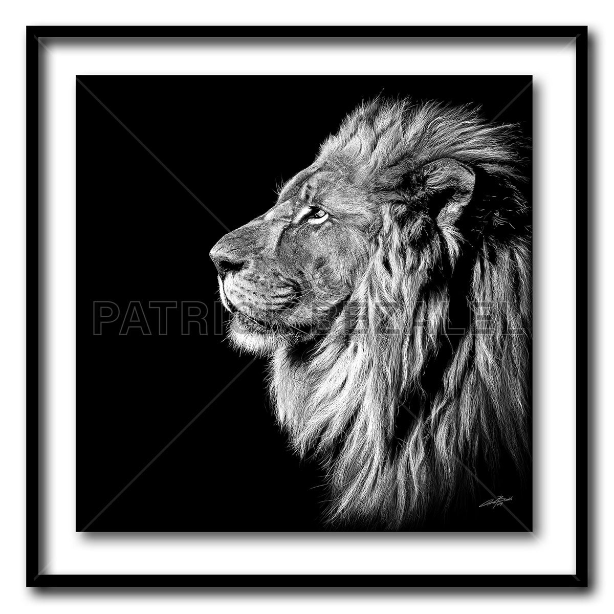 King Of Kings Standard - Artist Print with Frame (Print Size:60cm x 60cm; Framed Size 74cm x 74cm)
