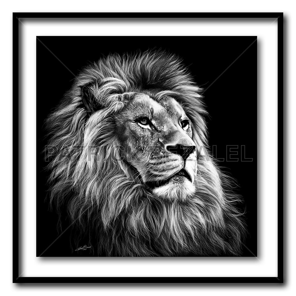 Majesty Large Format - Artist Print with Frame (Print Size:80cm x 80cm; Framed Size 94cm x 94cm)