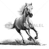 Faithful and True- White Horse Standard - DIASEC Print 60cm x 60cm