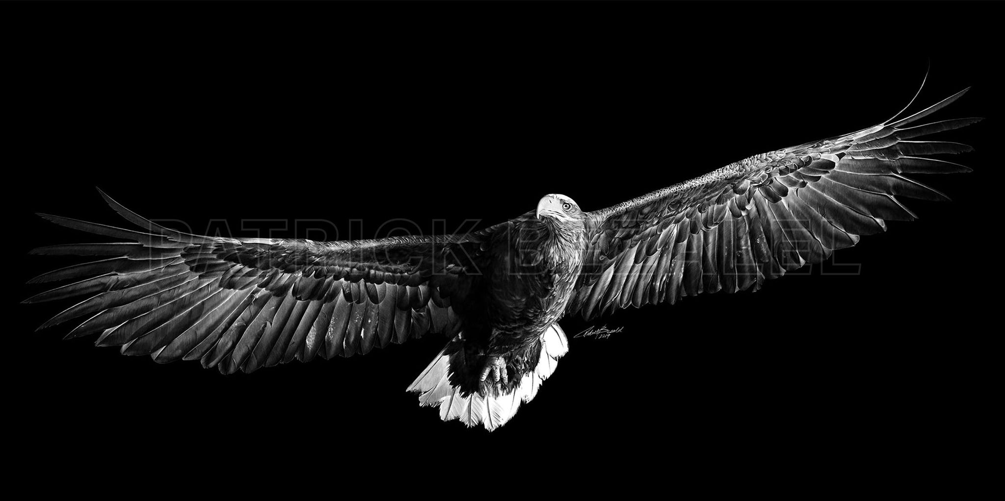 On Eagles' Wings Large Format - DIASEC Print 120cm x 60cm