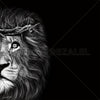 Crown Of Thorns - Lion Giant Format - DIASEC Print 100cm x 100cm